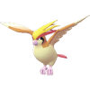 Pidgeot_main_image