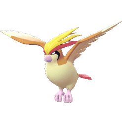 Pidgeot_main_image
