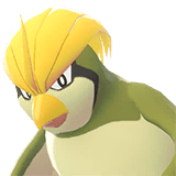 Alternative view of Pidgeotto [ZA]