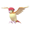 Pidgeotto_main_image