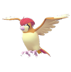 Pidgeotto_main_image