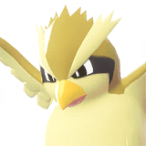 Pidgey_gallery_image