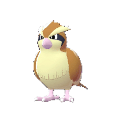 Pidgey_main_image