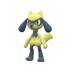 Alternative view of Riolu [ZA]
