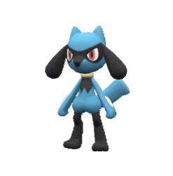 Riolu pokemon image