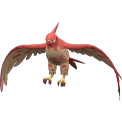 Alternative view of Talonflame [ZA]