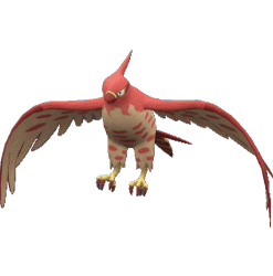 Alternative view of Talonflame [ZA]