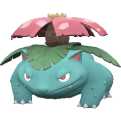 Venusaur main image