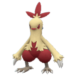 Combusken gallery image