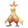 Combusken pokemon main image