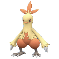 Combusken pokemon main image