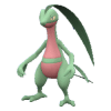 Grovyle pokemon main image