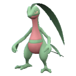 Grovyle pokemon main image