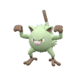 Alternative view of Mankey [ZA]