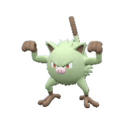 Alternative view of Mankey [ZA]