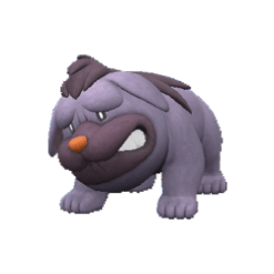 Alternative view of Maschiff [ZA]