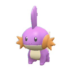 Mudkip gallery image