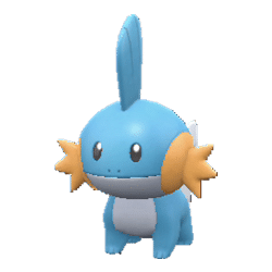 Mudkip pokemon main image