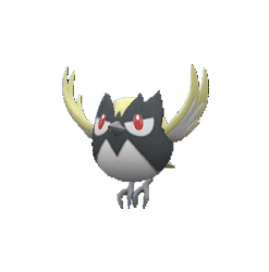 Alternative view of Rookidee [ZA]