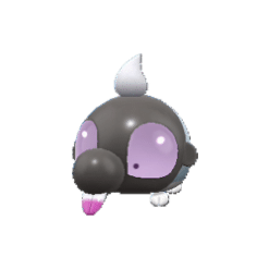 Shroodle gallery image