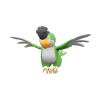 Squawkabilly pokemon main image