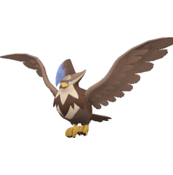 Alternative view of Staraptor [ZA]