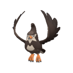 Staravia gallery image