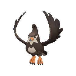 Staravia gallery image