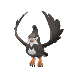 Staravia pokemon main image