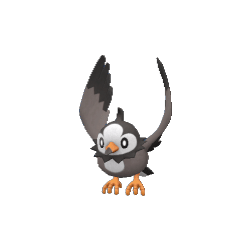 Starly pokemon main image