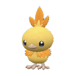 Torchic gallery image