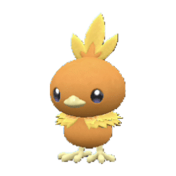 Torchic pokemon main image