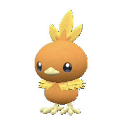 Torchic pokemon main image