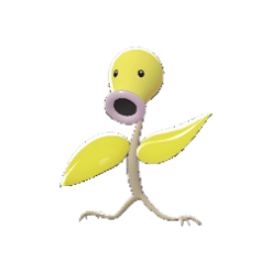 Alternative view of Bellsprout [ZA]