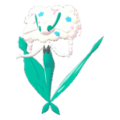 Florges White Flower [ZA]