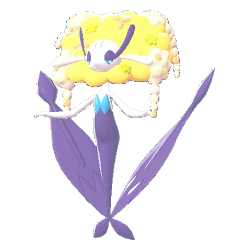 Alternative view of Florges Yellow Flower [ZA]