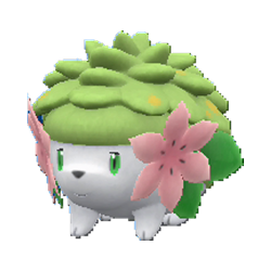 Shaymin [SV]